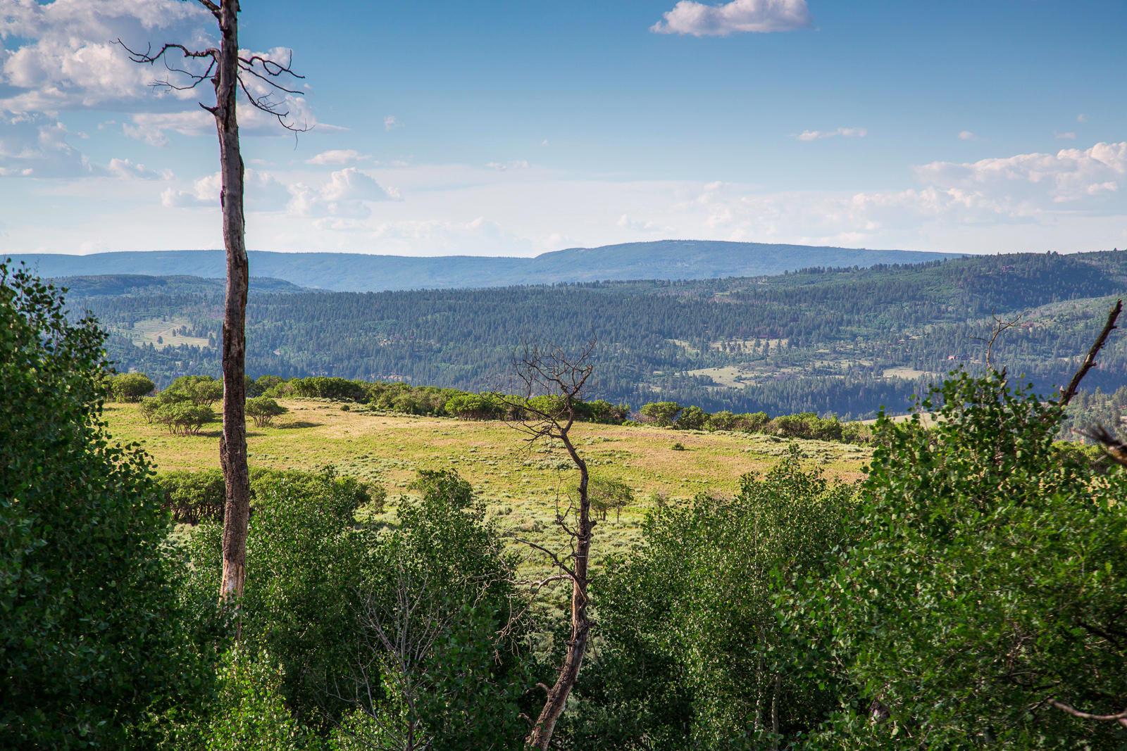 799 Harcourt Trail Placerville, CO 81430 - Photo 29 of 29 a view of a lake view