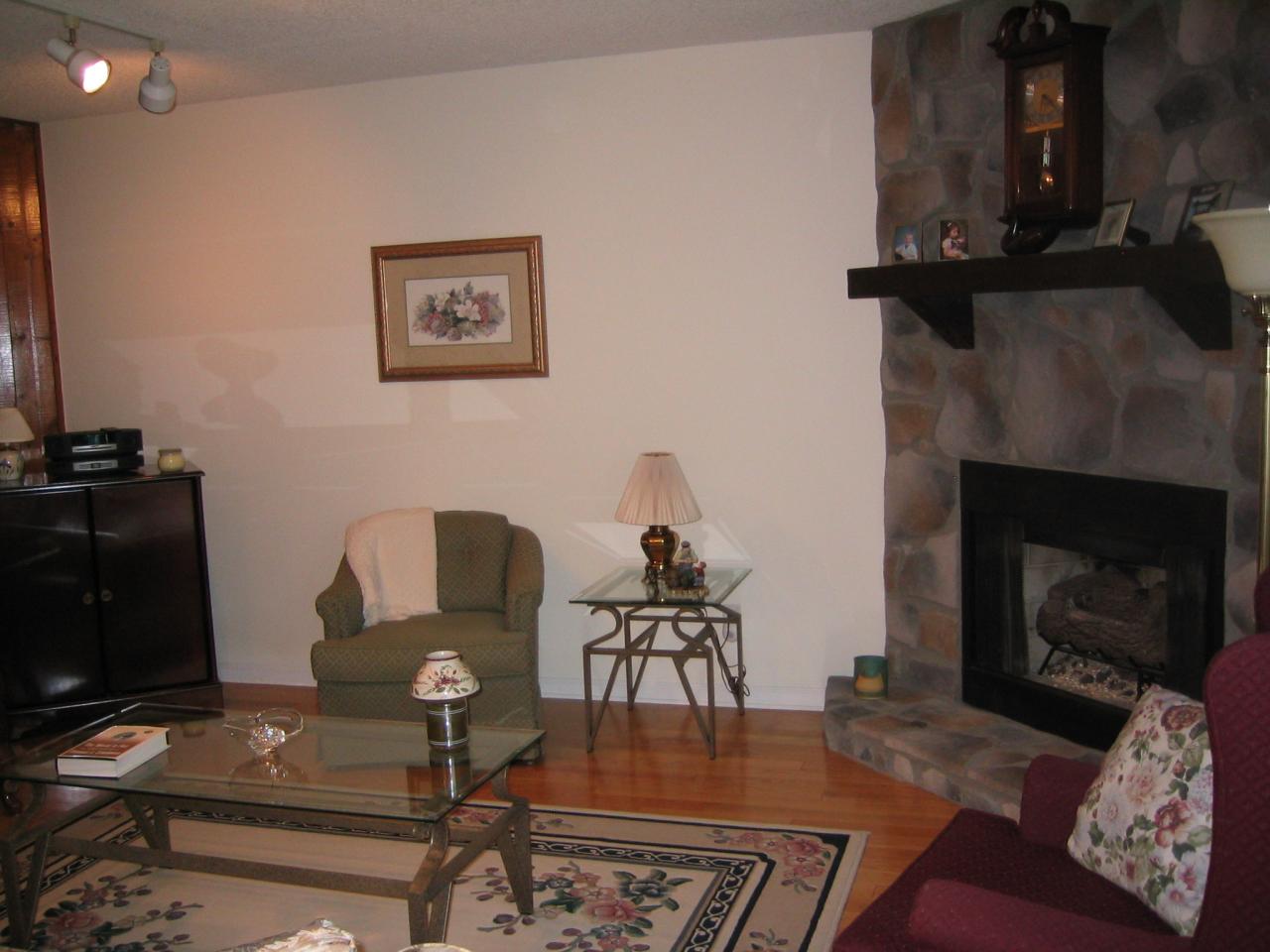 213 Saunders Point Road, Unit 12 Huddleston, VA 24104 - Photo 9 of 10 Fireplace in Great Room