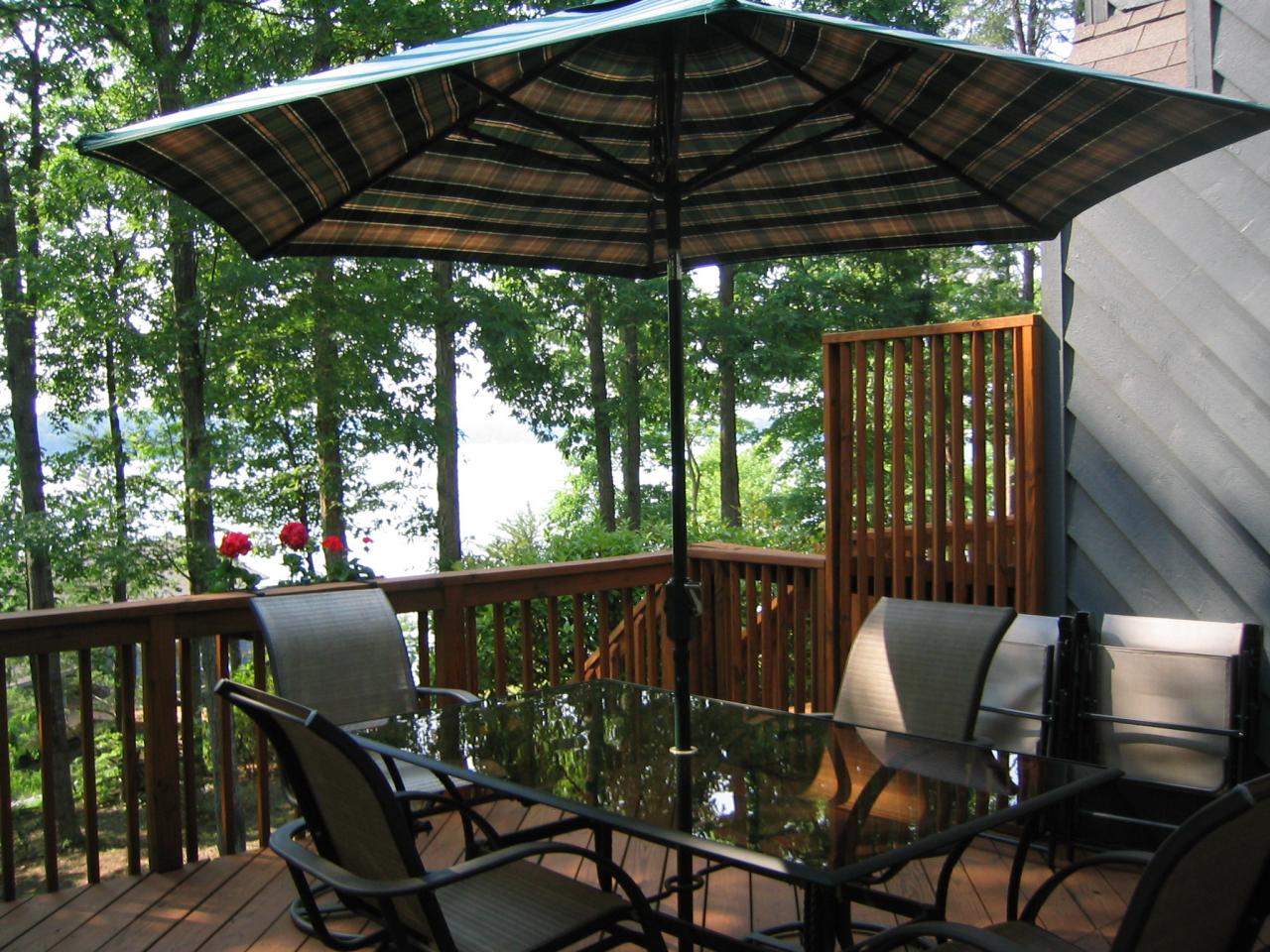 213 Saunders Point Road, Unit 12 Huddleston, VA 24104 - Photo 10 of 10 View From Deck
