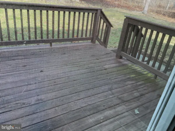 a view of a garden with large trees