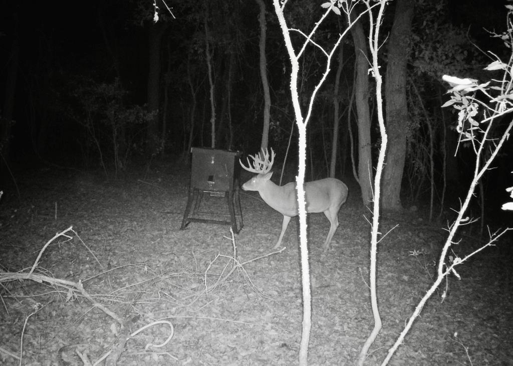 555 Yowell Hill Road Tom Bean, TX 75491 - Photo 30 of 33