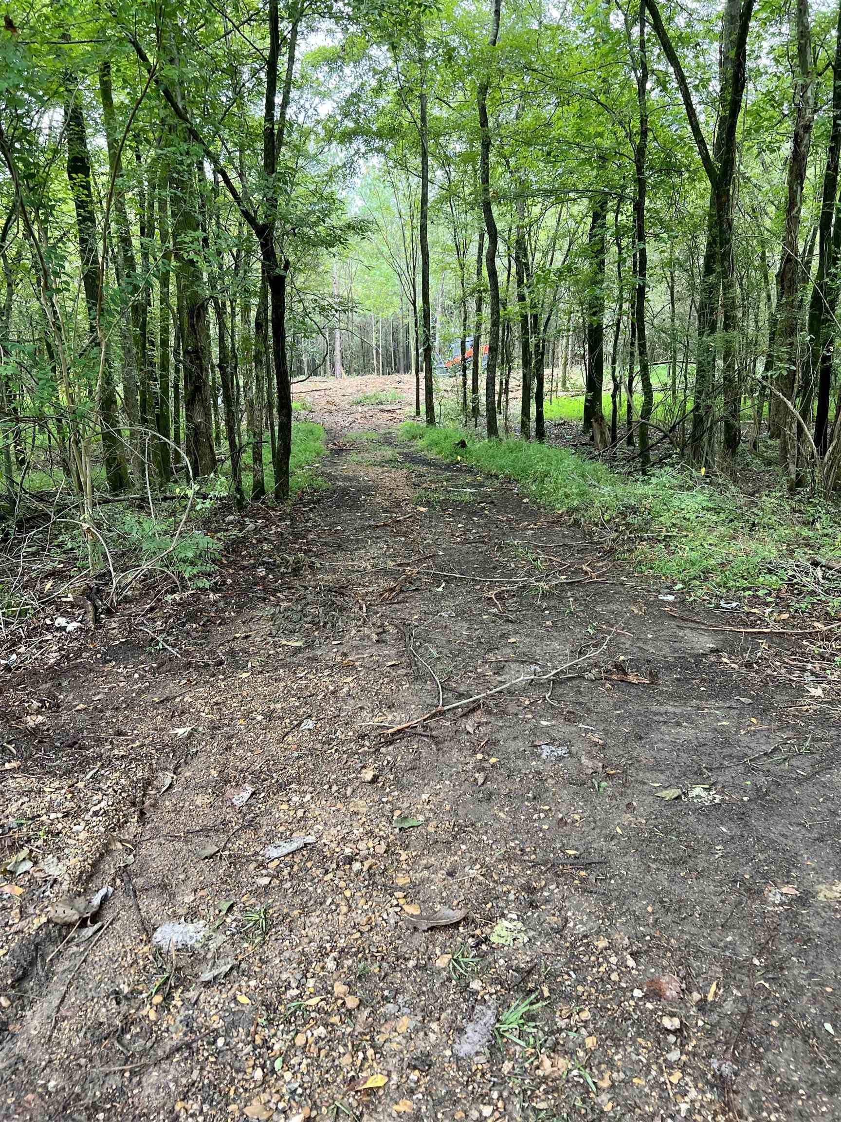 Old Meadow Road Eads, TN 38028 - Photo 1 of 6 a view of outdoor space with trees all around