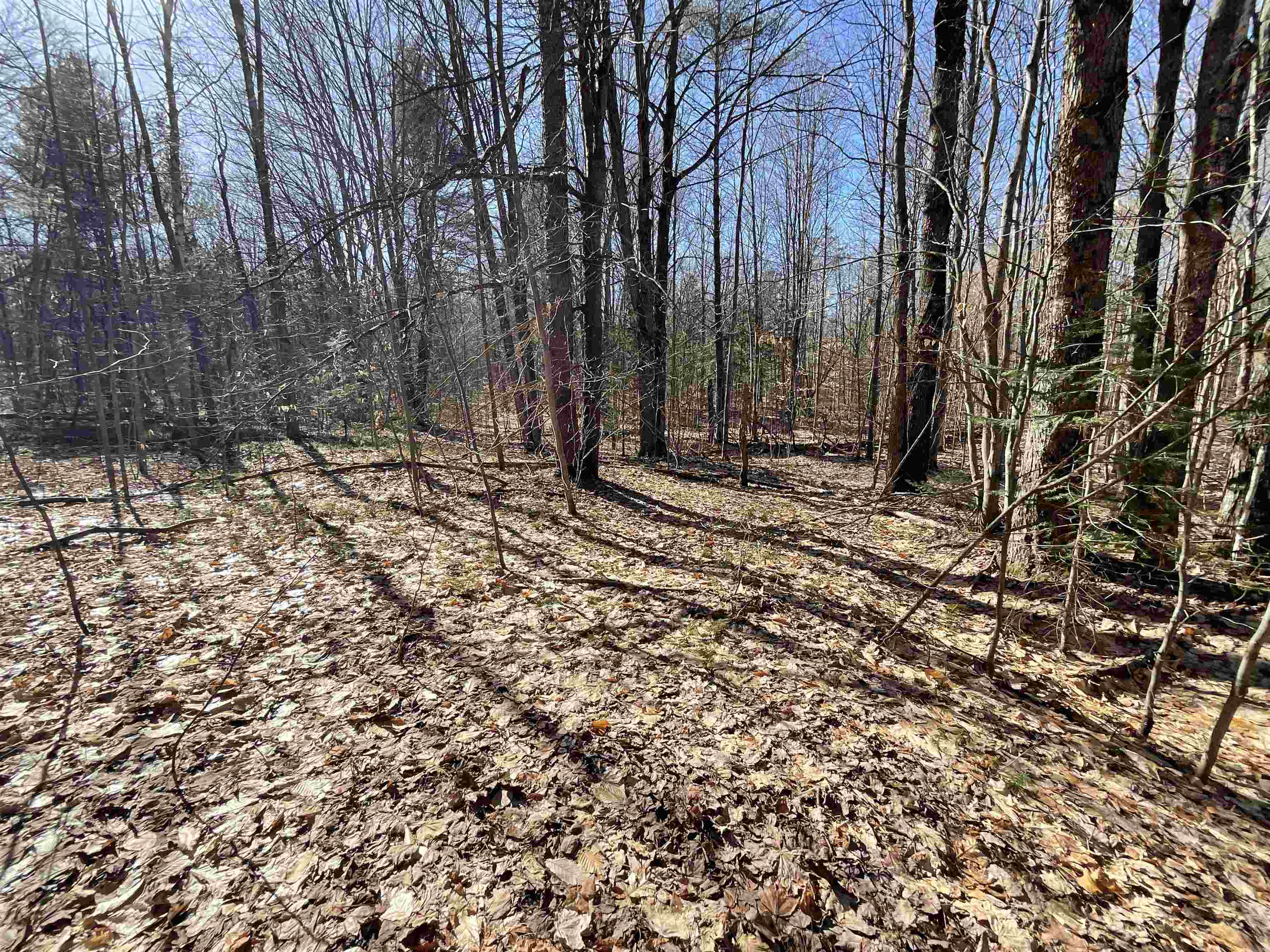 V/l Tower Road Northeast Kalkaska, MI 49646 - Photo 14 of 15