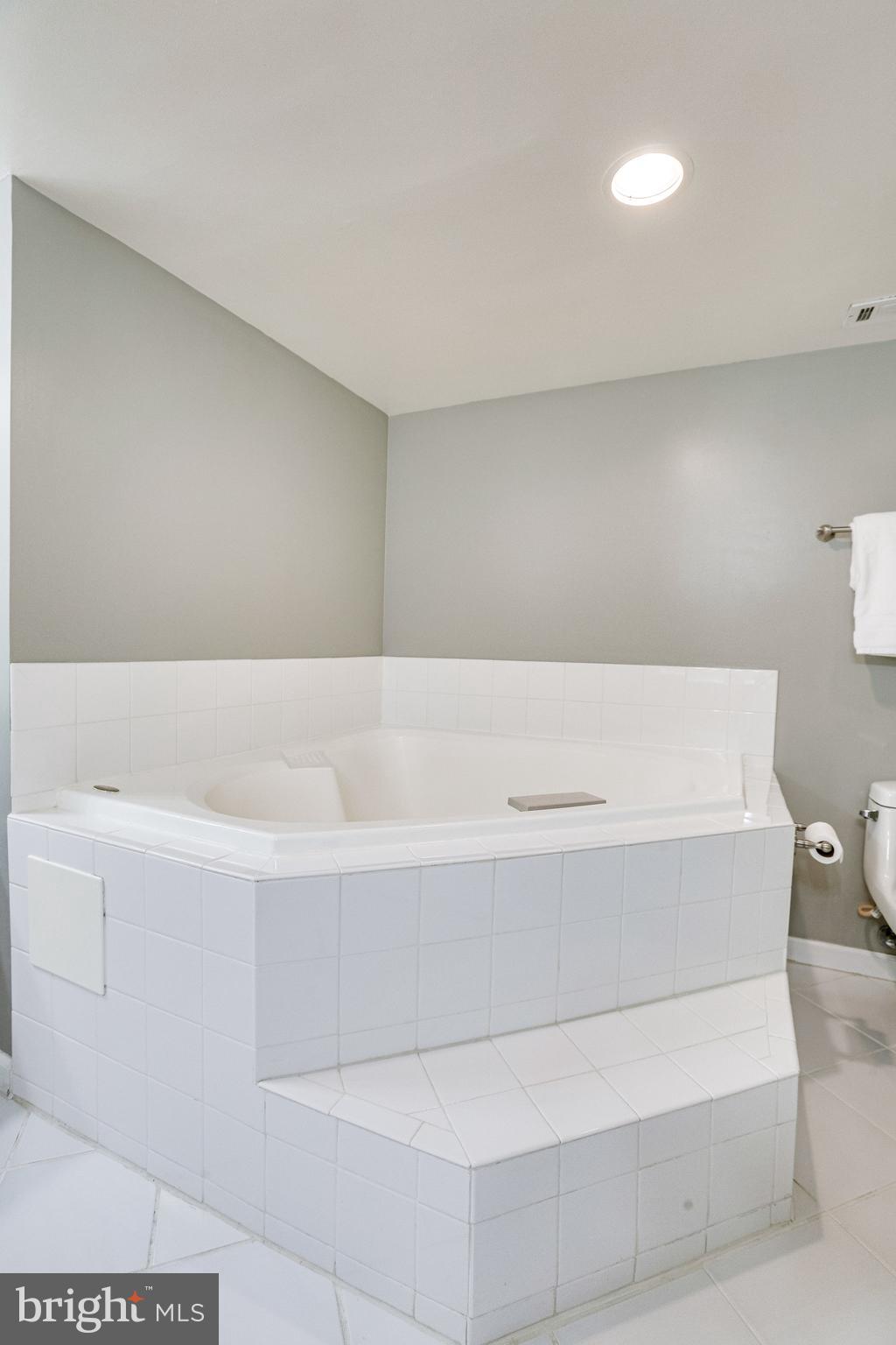 1515 South Arlington Ridge Road, Unit 403 Arlington, VA 22202 - Photo 28 of 43 Soaking tub