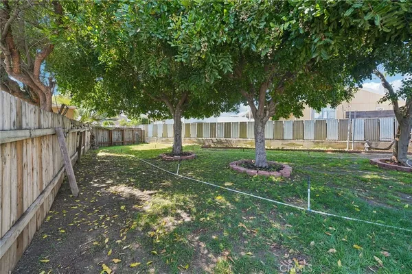 a view of a backyard with a small plants