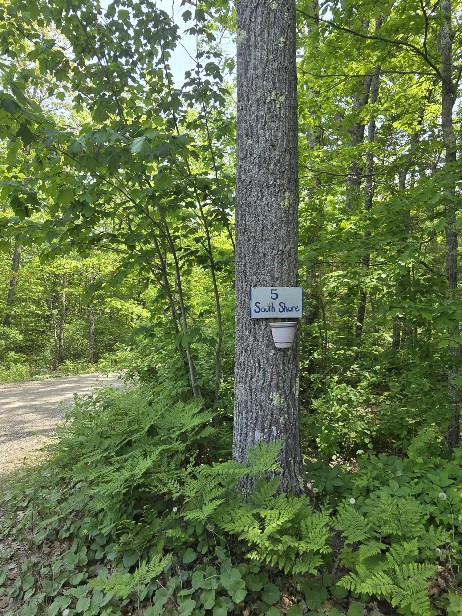 5 South Shore Road Glenburn, ME 04401 - Photo 35 of 35 20260605_133054