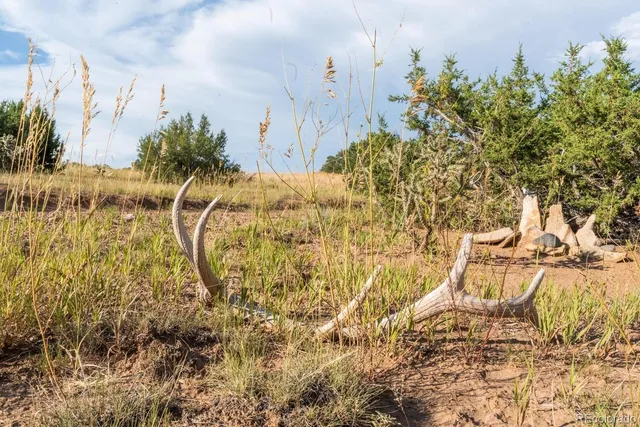 a view of a houses with a big yard