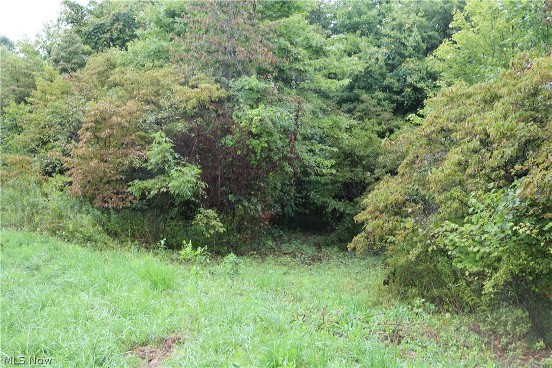 Sawmill Road Newcomerstown, OH 43832 - Photo 5 of 16 Gallery Image 5