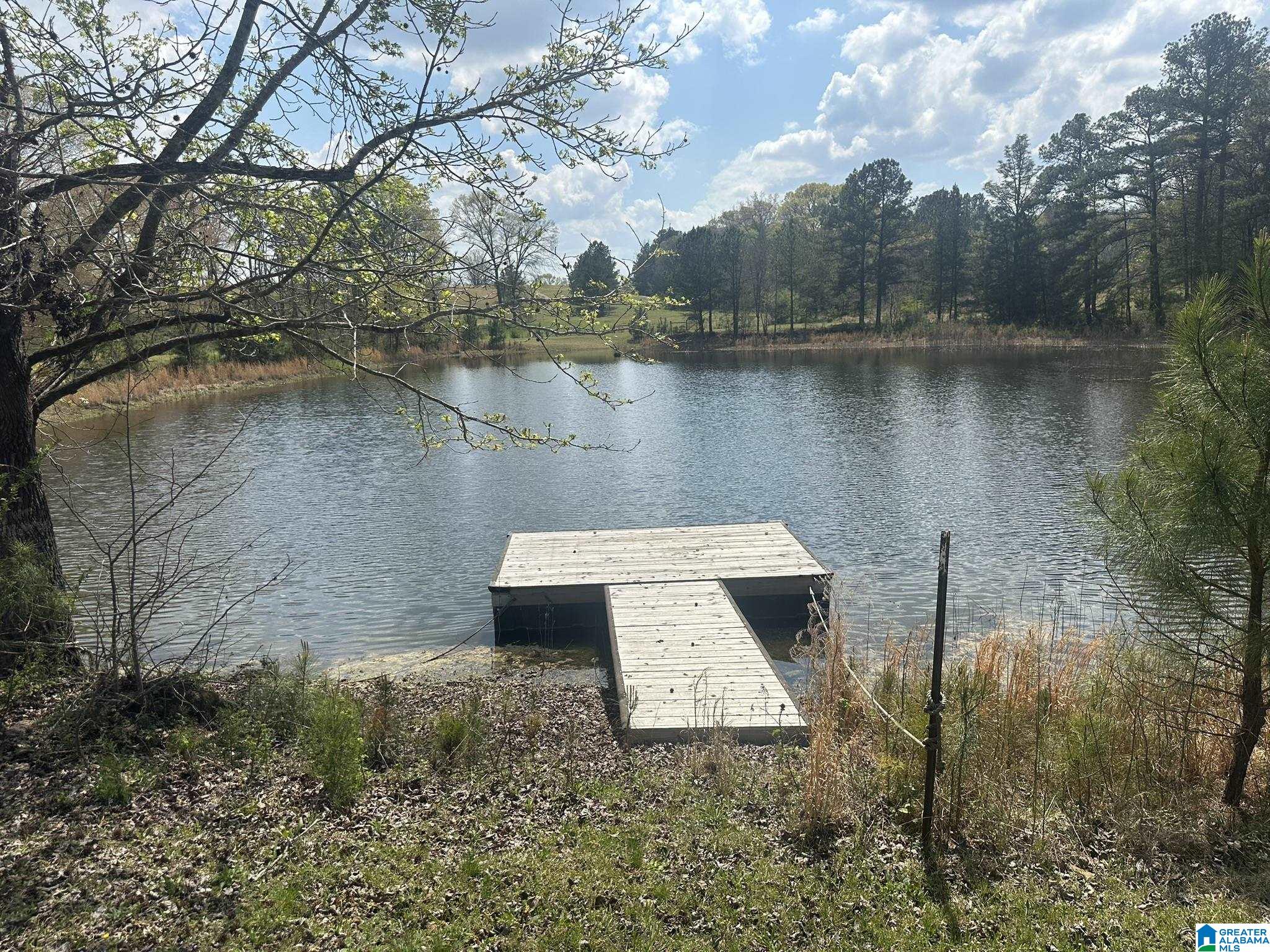 75 Mary Lee Lane Alpine, AL 35014 - Photo 13 of 77