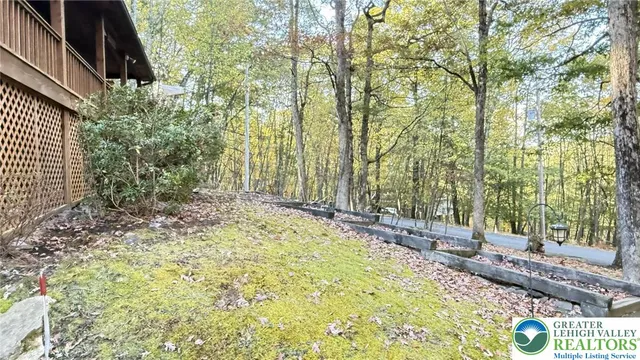 a view of a yard with plants and large trees