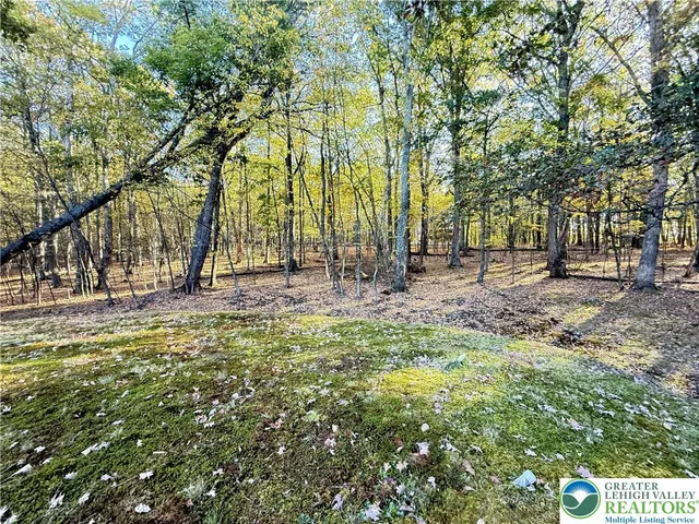 a view of outdoor space with trees