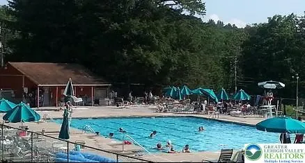 a view of a swimming pool with lawn chairs and plants
