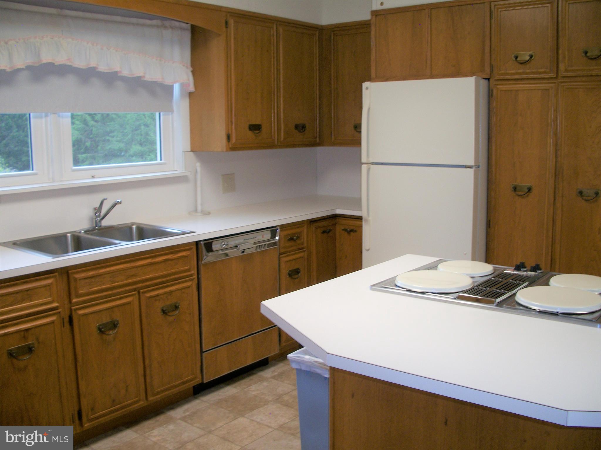 2508 Rocks Road Forest Hill, MD 21050 - Photo 8 of 51 Kitchen - custom pantry cabinets