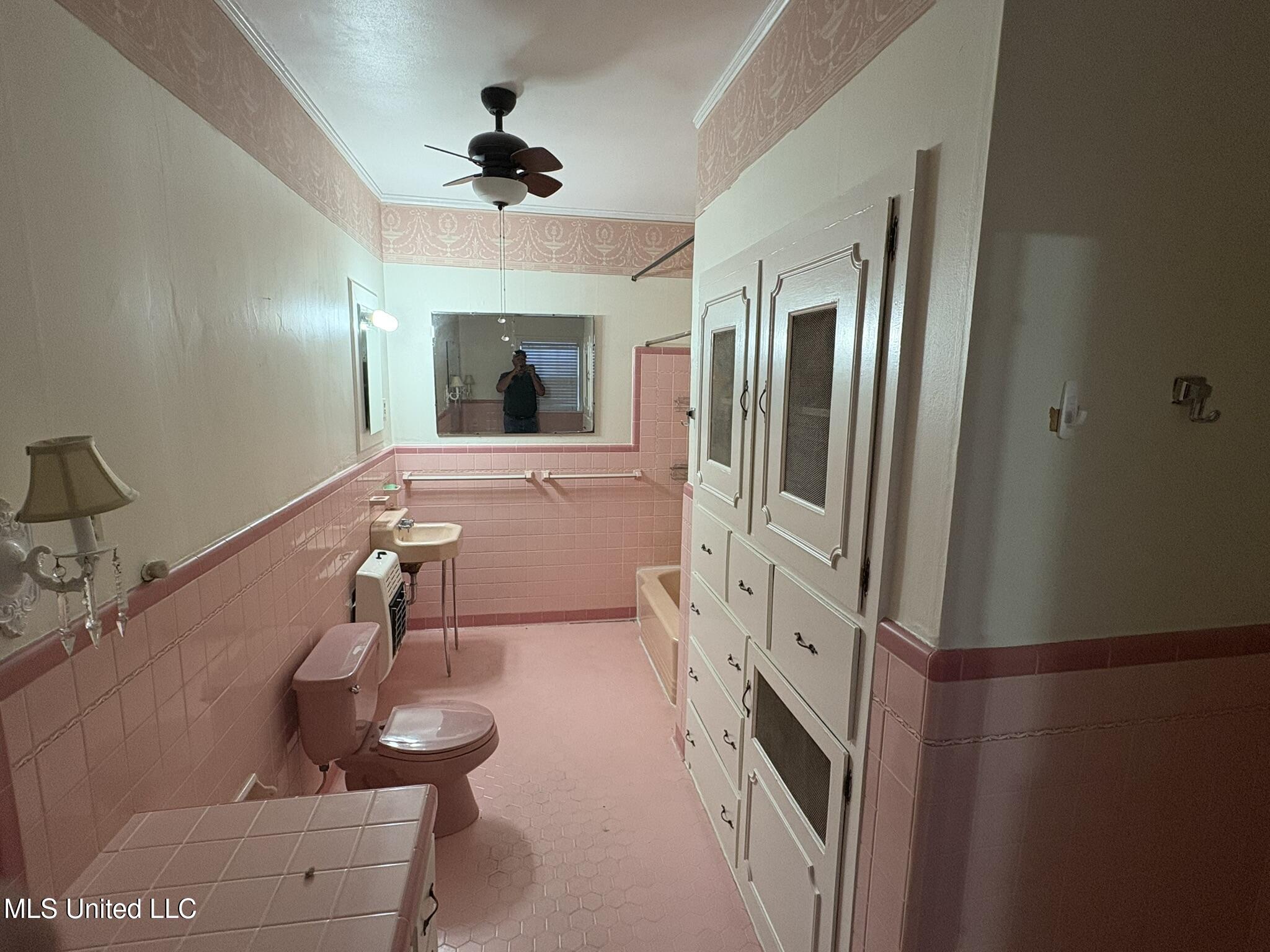 406 Leflore Avenue Belzoni, MS 39038 - Photo 13 of 28 Primary Bath1