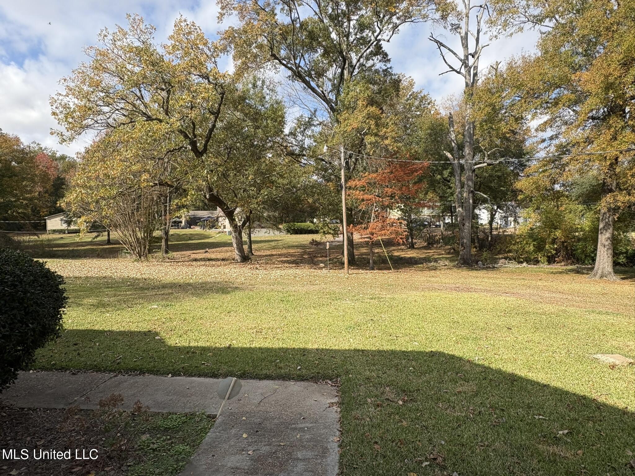 406 Leflore Avenue Belzoni, MS 39038 - Photo 23 of 28 Front yard