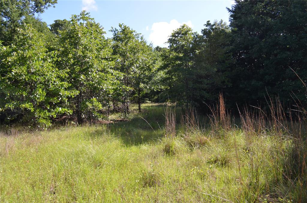 760 County Road, Unit 2315 Eustace, TX 75124 - Photo 4 of 19 a view of a lake view