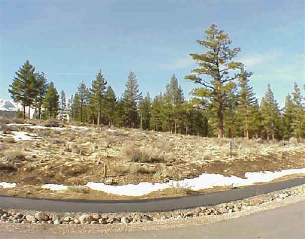 Lot553 Wpinewild Road Reno, NV 89511 - Photo 1 of 1 Photo 1