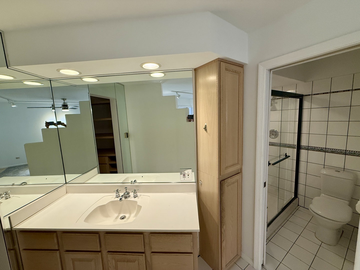 414 South Dee Road Park Ridge, IL 60068 - Photo 18 of 37 a bathroom with a sink and a mirror