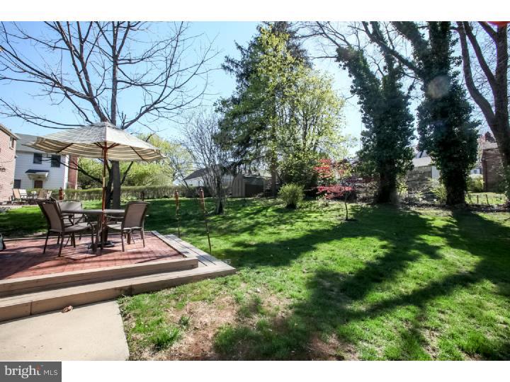 113 Sandy Bank Road Media, PA 19063 - Photo 23 of 25 Back Yard