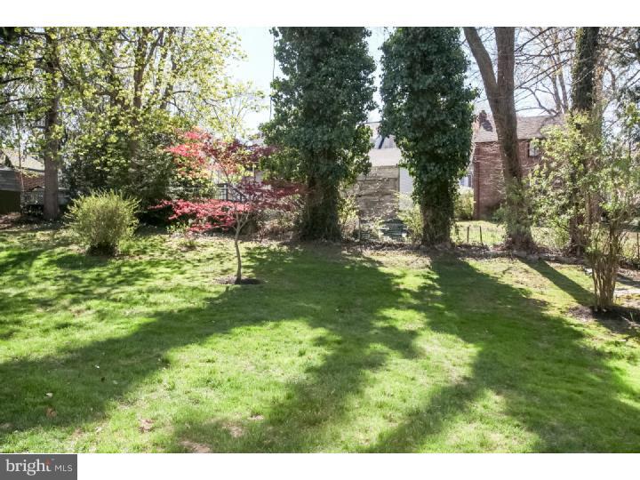 113 Sandy Bank Road Media, PA 19063 - Photo 24 of 25 Back Yard
