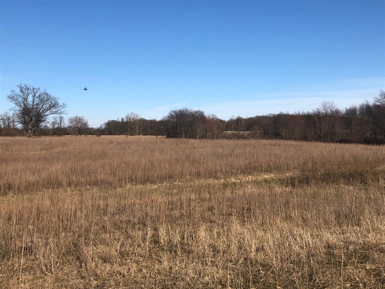 0 Prospect Hill Road Grass Lake, MI 49240 - Photo 14 of 17 Gallery Image 14