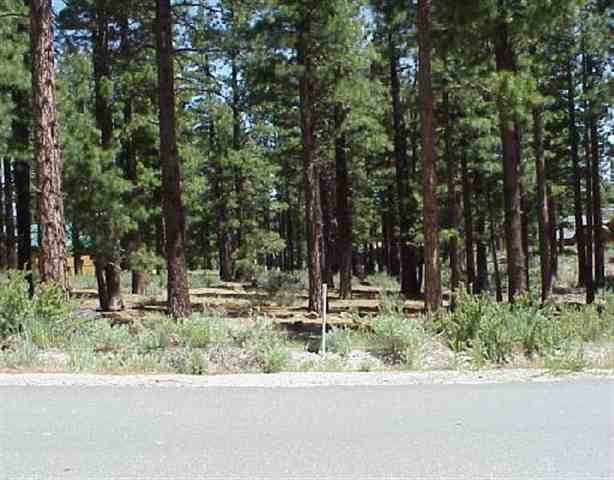 0 Joy Lake Road Reno, NV 89511 - Photo 1 of 1 Gallery Image 1