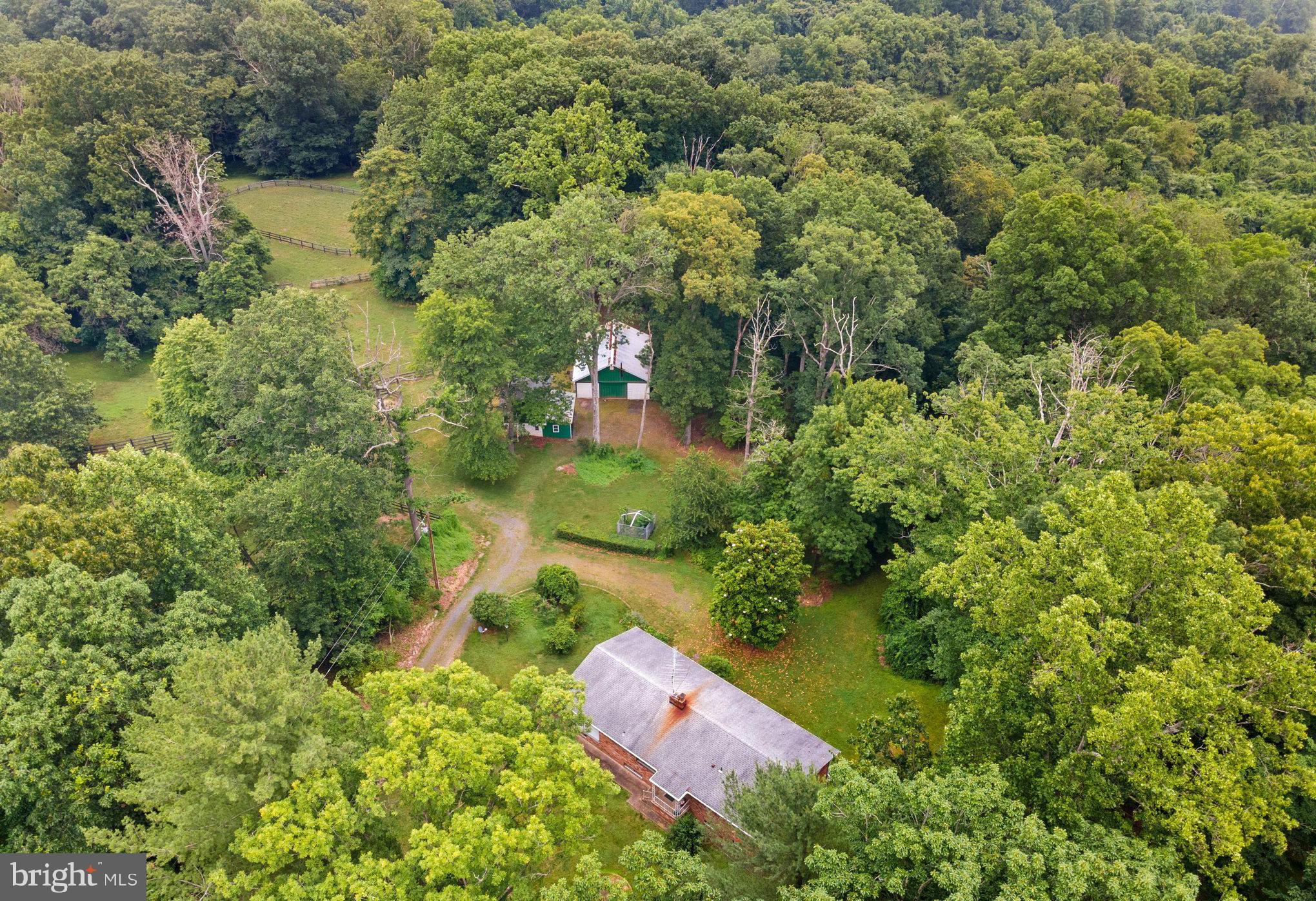 6301 Leeds Manor Road Marshall, VA 20115 - Photo 14 of 16 Serene retreat amidst lush greenery.