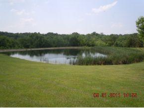 12831 Longbranch Road Moores Hill, IN 47032 - Photo 3 of 12 Gallery Image 3