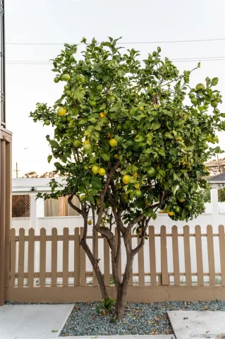 $3,587 | 1309 East 1st Street, National City, CA 91950