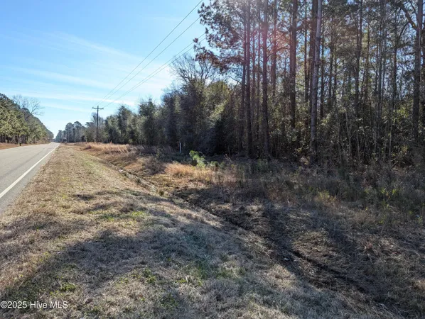 $60,000 | 26688 Highway 210, Currie, NC 28435