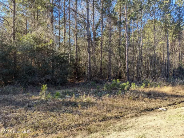 $60,000 | 26688 Highway 210, Currie, NC 28435