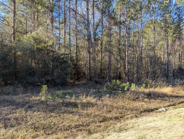 $60,000 | 26688 Highway 210, Currie, NC 28435