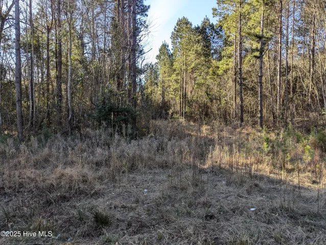 $60,000 | 26688 Highway 210, Currie, NC 28435