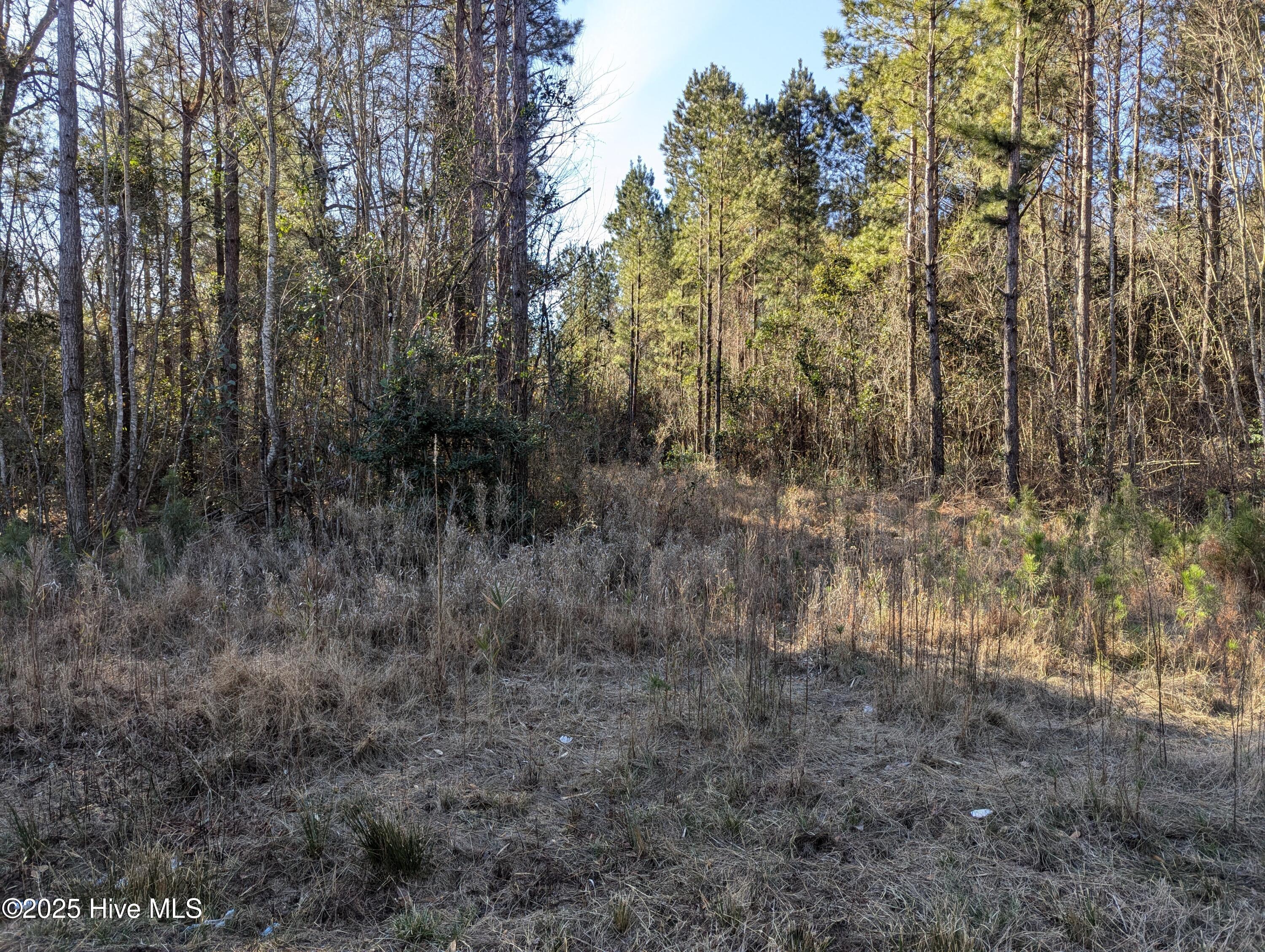 26688 Highway 210 Currie, NC 28435 - Photo 5 of 38 PXL_20250115_151453513