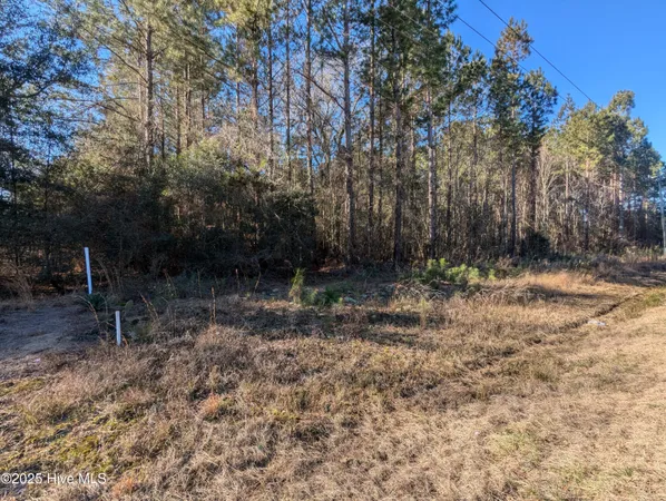 $60,000 | 26688 Highway 210, Currie, NC 28435