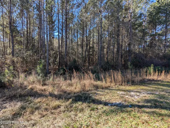 $60,000 | 26688 Highway 210, Currie, NC 28435