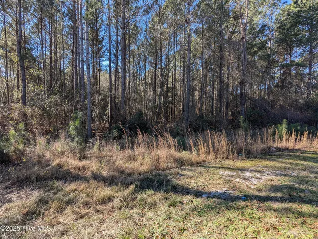 $60,000 | 26688 Highway 210, Currie, NC 28435