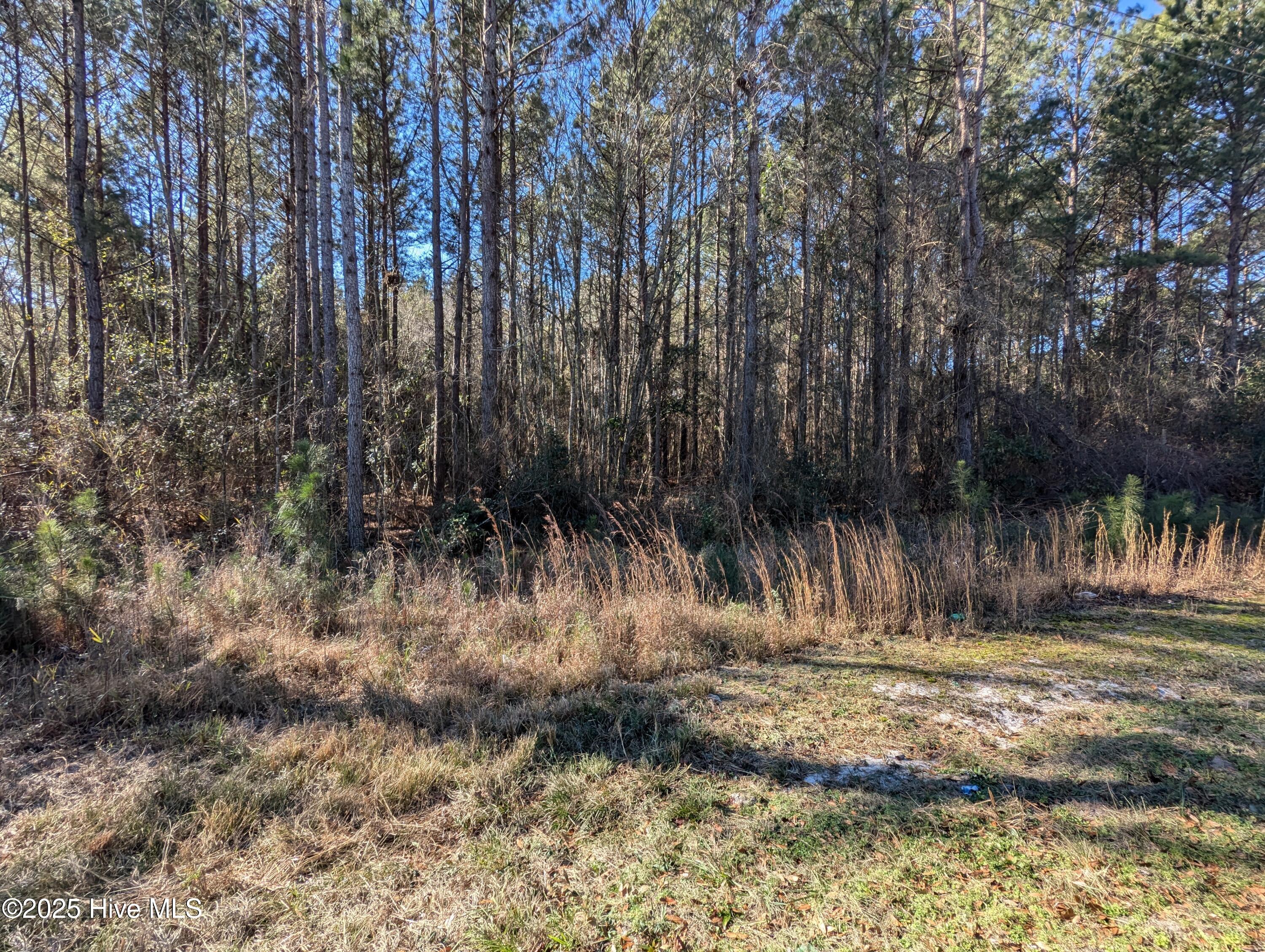 26688 Highway 210 Currie, NC 28435 - Photo 8 of 38 PXL_20250115_152909562