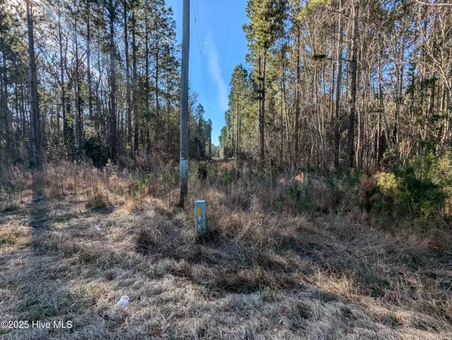 $60,000 | 26688 Highway 210, Currie, NC 28435