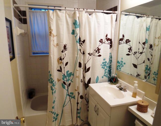 4622 28th Road South, Unit A Arlington, VA 22206 - Photo 5 of 22 Updated bath