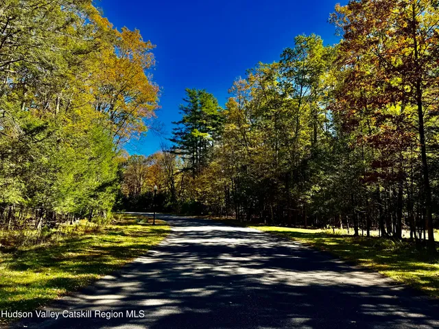 a view of a yard with an outdoor space