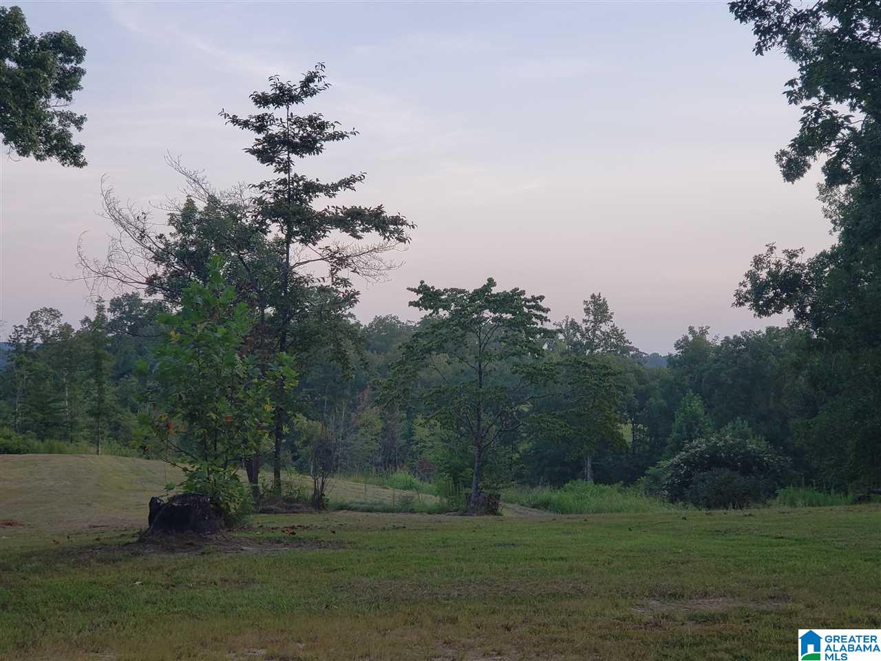 8480 Sharit Dairy Road, Unit LOT 3 Gardendale, AL 35071 - Photo 6 of 9
