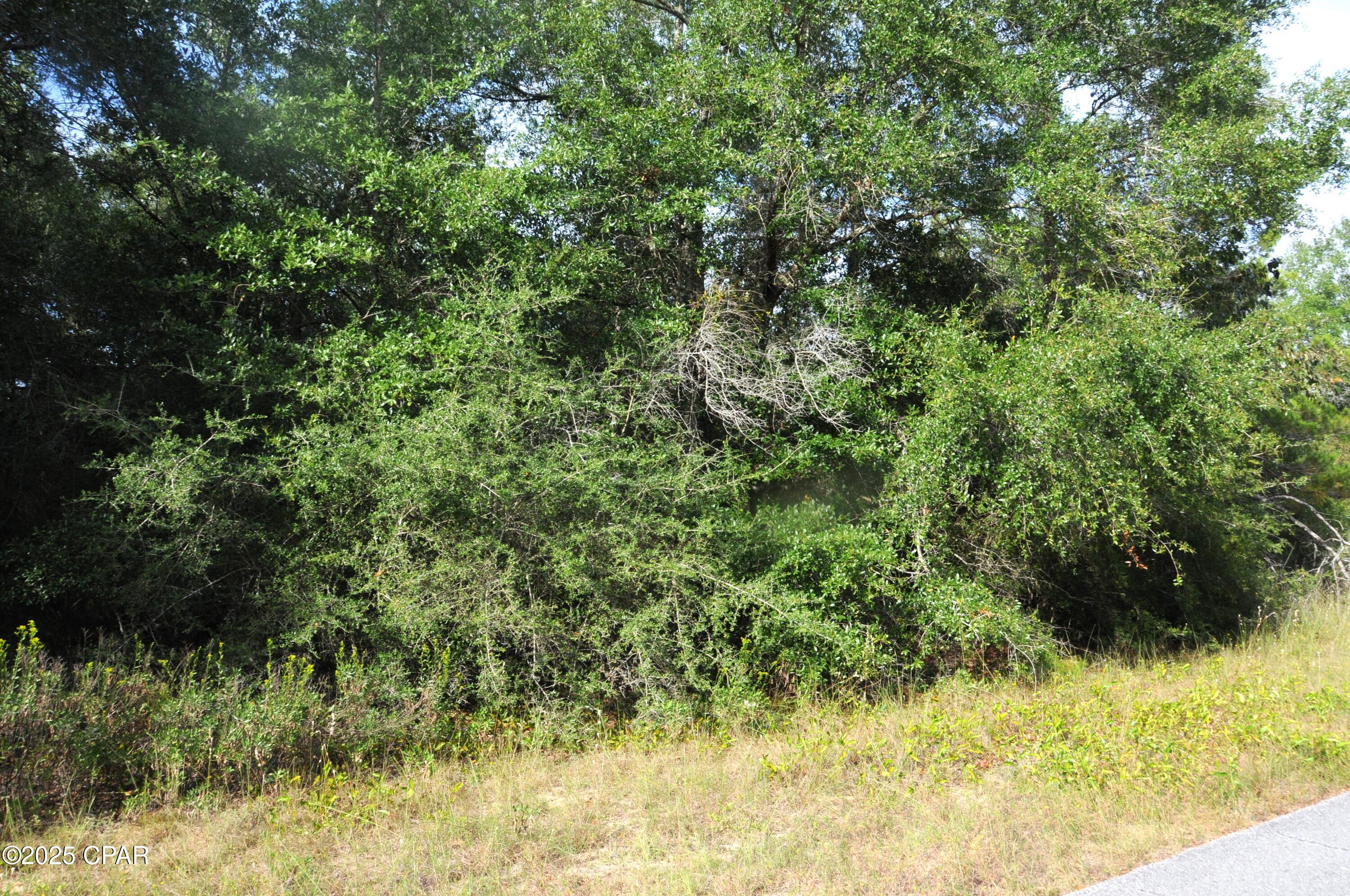 0 Quaker Street Chipley, FL 32428 - Photo 2 of 3