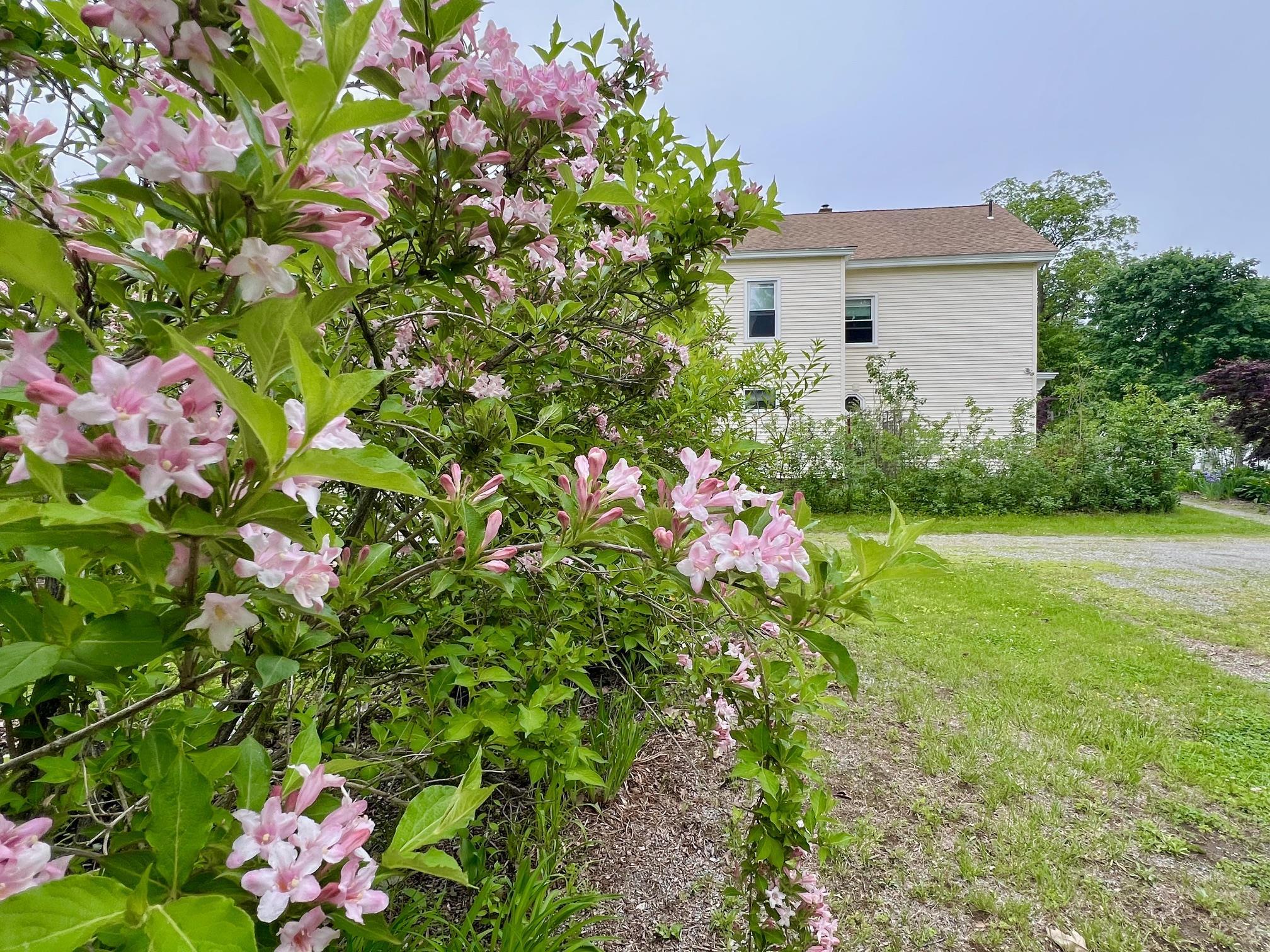 29 Spaulding Street Milford, NH 03055 - Photo 7 of 60