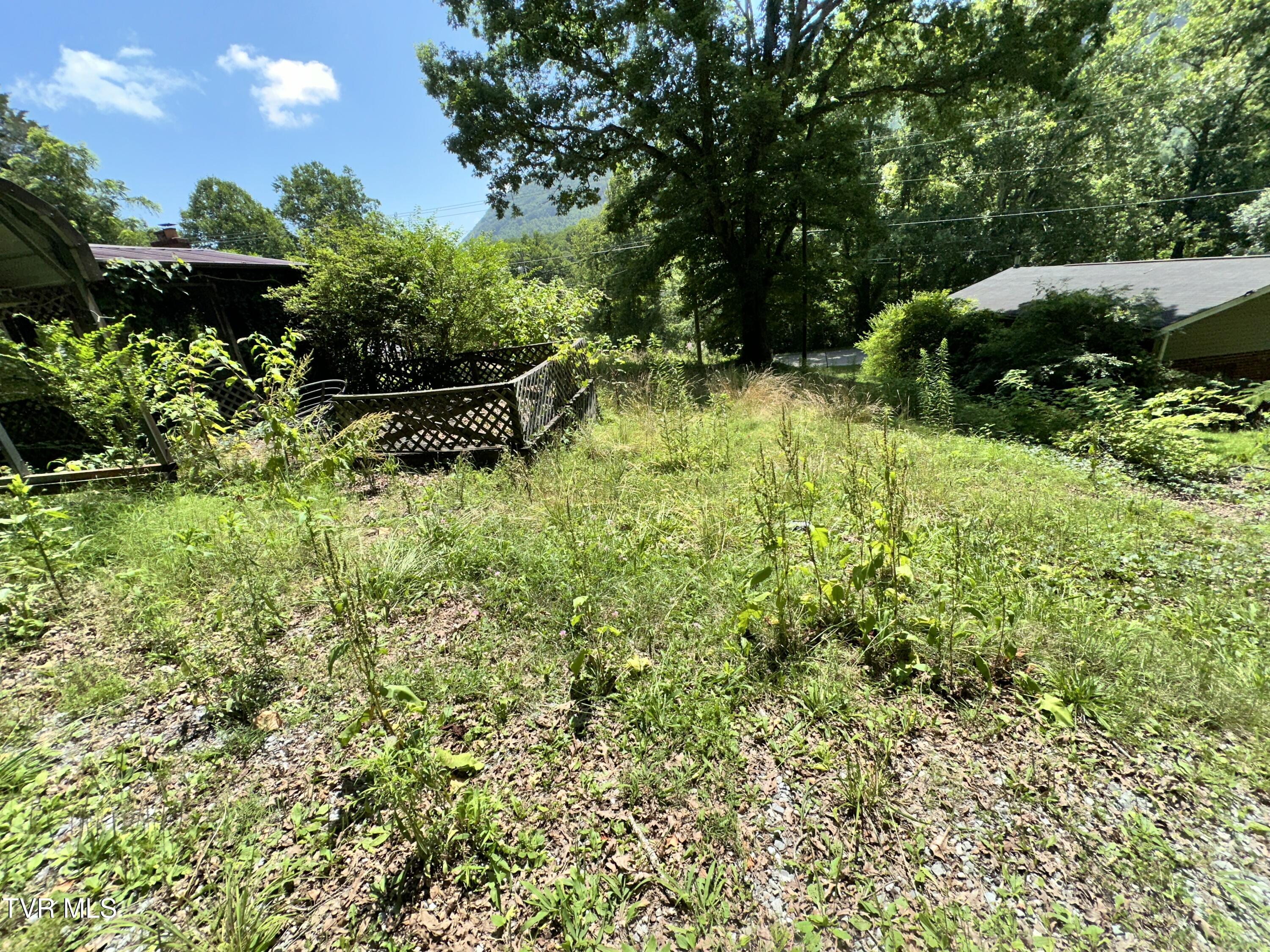1509 Wildcat Road Big Stone Gap, VA 24219 - Photo 26 of 29 IMG_4241