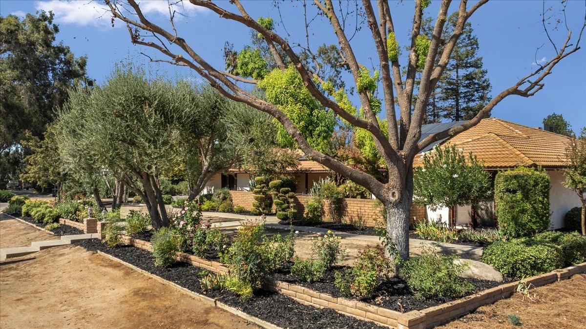 41071 Adobe Way Madera, CA 93636 - Photo 24 of 27 a view of a garden
