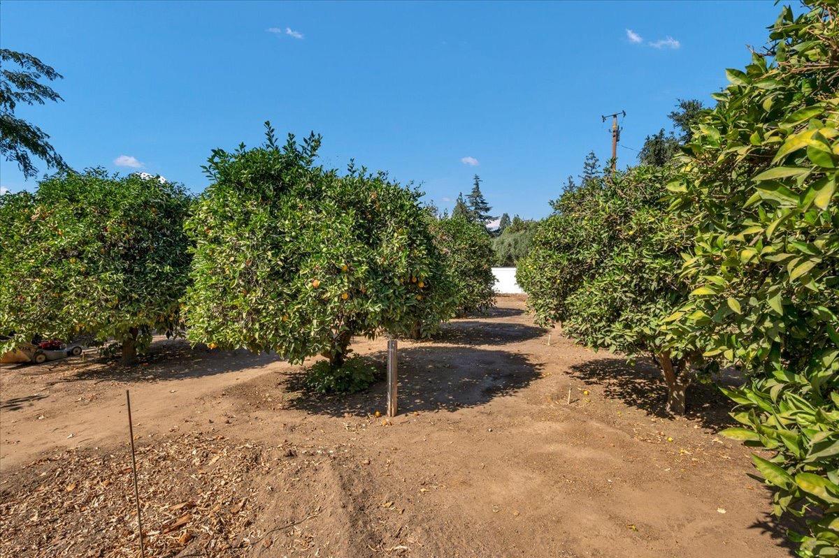 41071 Adobe Way Madera, CA 93636 - Photo 5 of 27 a view of a yard with table and chairs