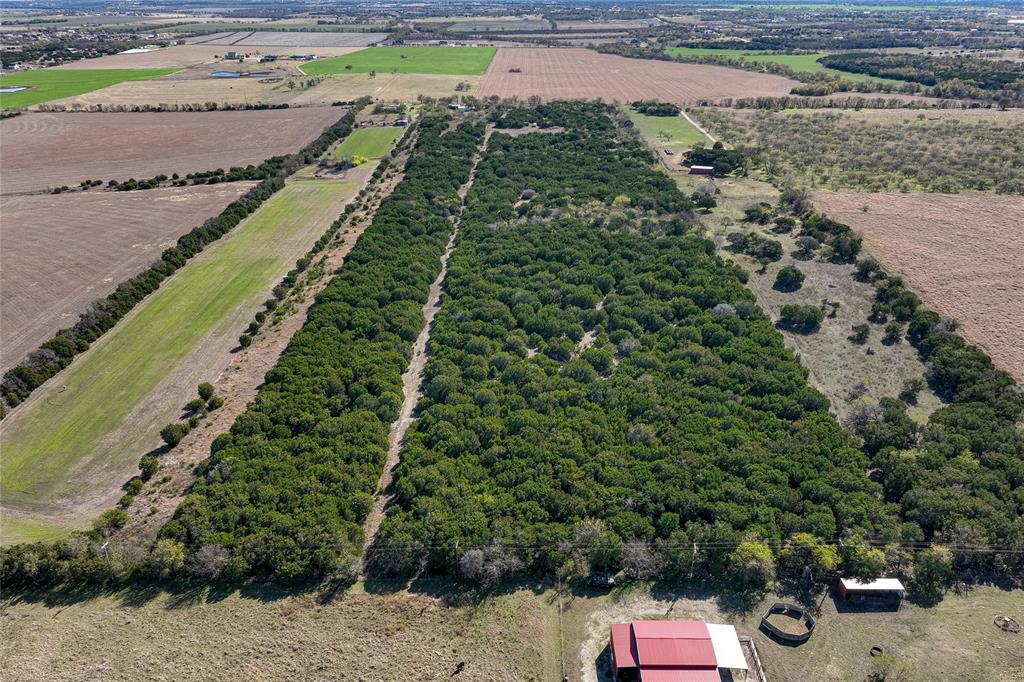 693 Garrett Lane China Spring, TX 76633 - Photo 4 of 16 a view of a yard with plants