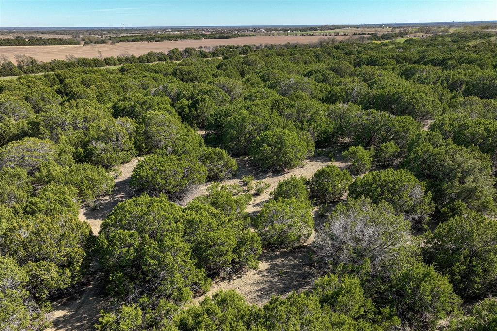 693 Garrett Lane China Spring, TX 76633 - Photo 5 of 16 a view of a big yard with large trees