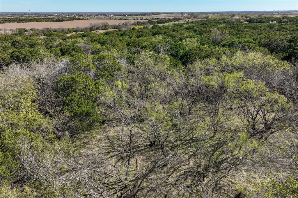 693 Garrett Lane China Spring, TX 76633 - Photo 6 of 16 a view of a field of grass and trees
